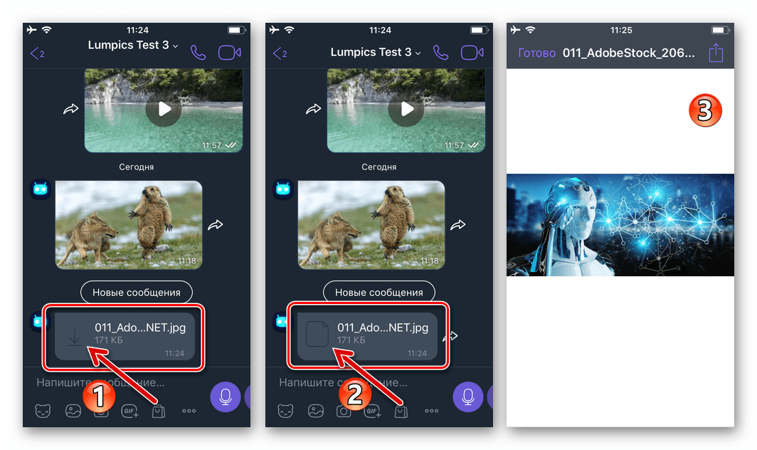 Viber для iPhone - открытие в мессенджере фотографии, присланной в виде файла