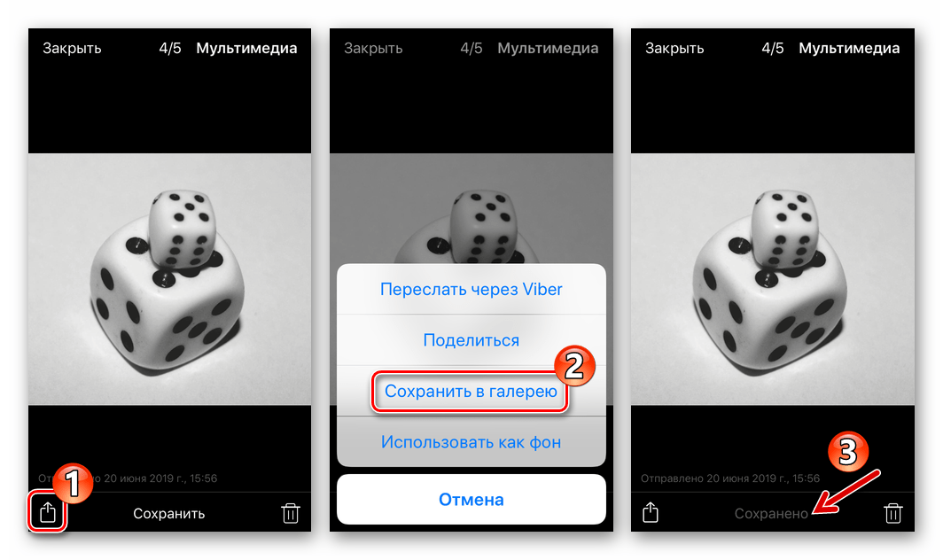 Viber для iPhone сохранение картики из мессенджера в Галерею