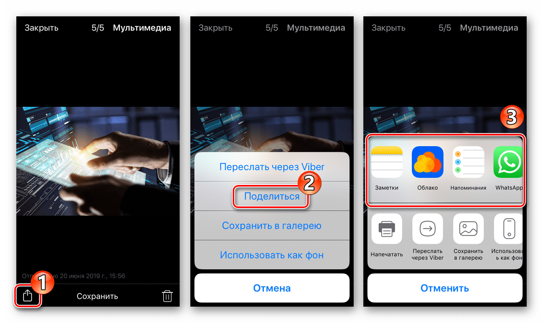 Viber для iPhone Вызов функции Поделиться для пересылки фото из мессенджера по электронной почте