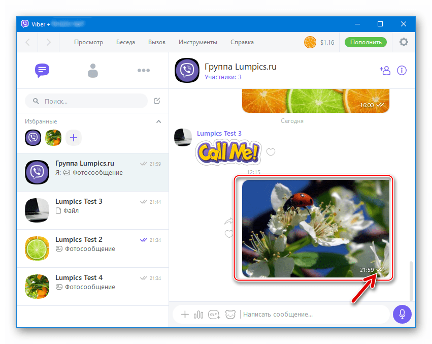 Viber для ПК отправка фотографии в групповой чат завершена