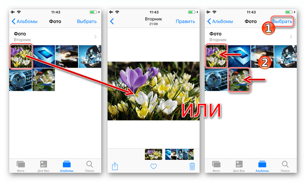 Viber для iPhone выбор одного или нескольких изображений в приложении Фото для отправки через мессенджер