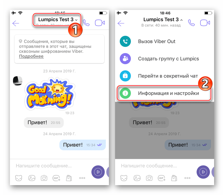 Viber для iPhone меню Информация и настройки скрытого чата в мессенджере