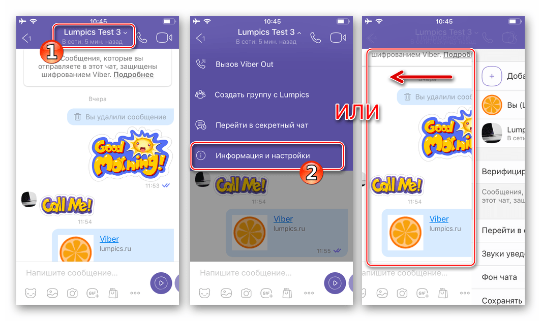 Viber для iPhone -переход к странице Информация и настройки диалога для удаления всех сообщений из него