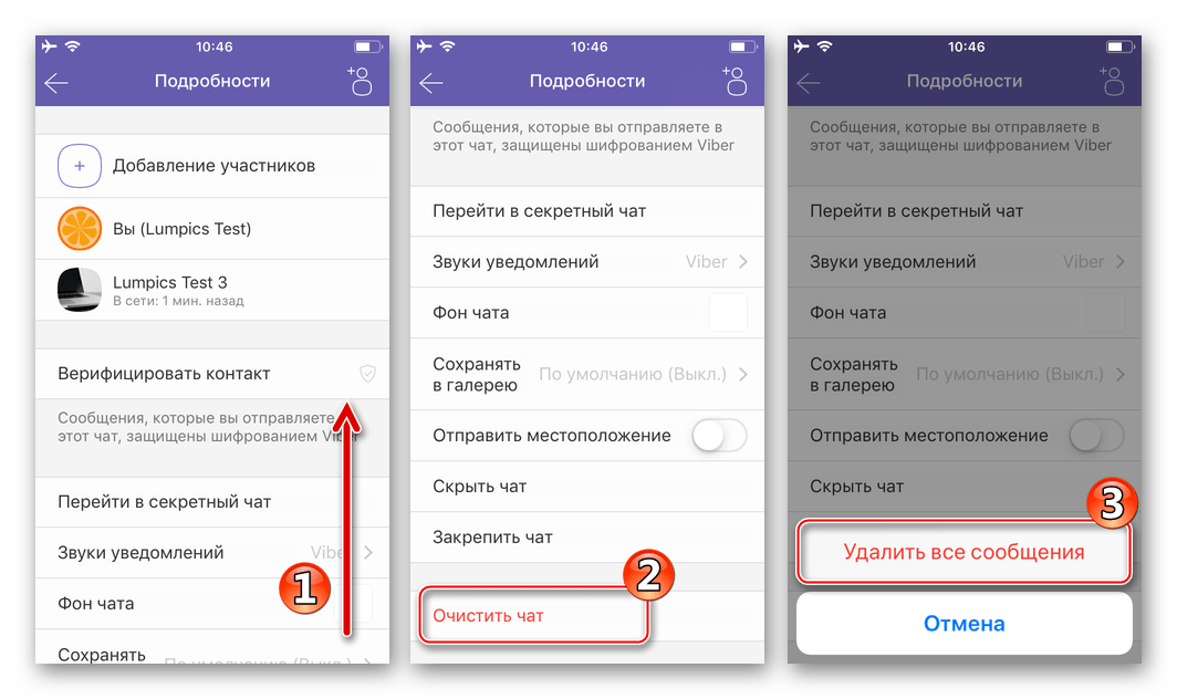 Viber для iPhone очистка чата от всех сообщений из меню Подробности