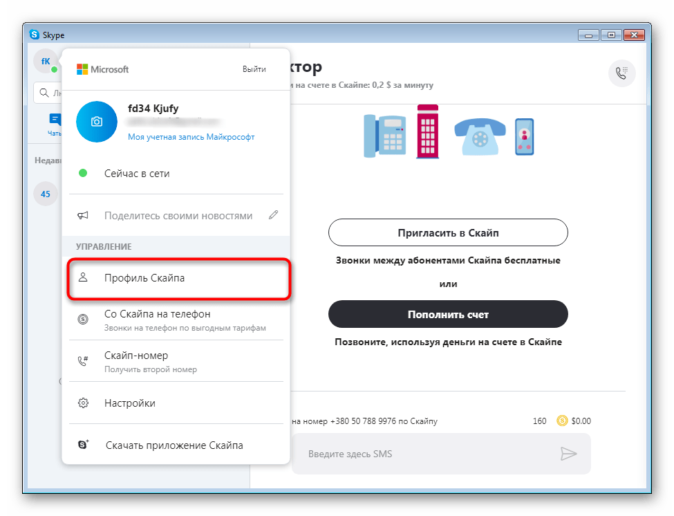 Просмотр личного профиля в программе Skype