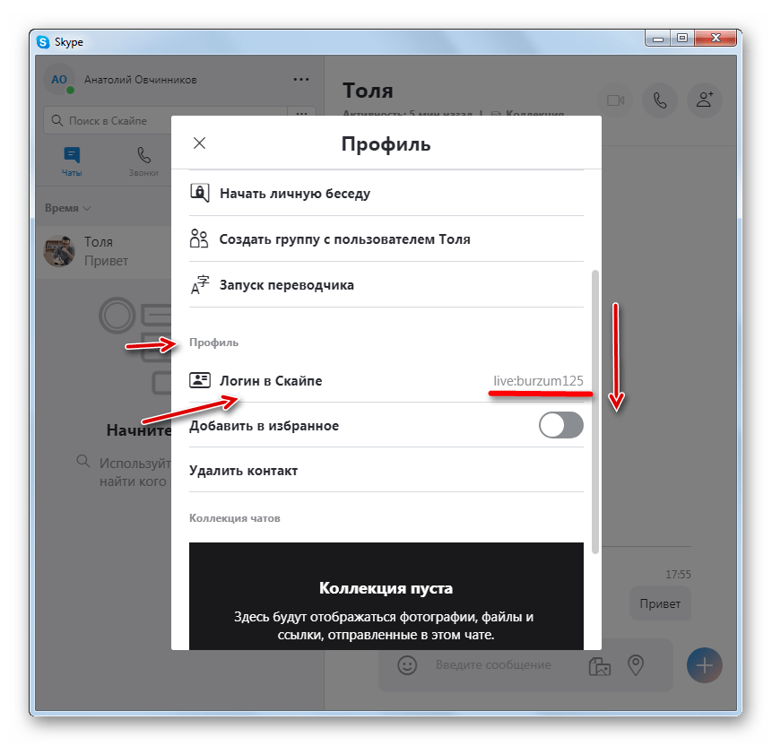 Логин в скайпе в окне просмотра профиля пользлователя в программе Skype 8