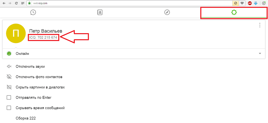 настройки в Web ICQ