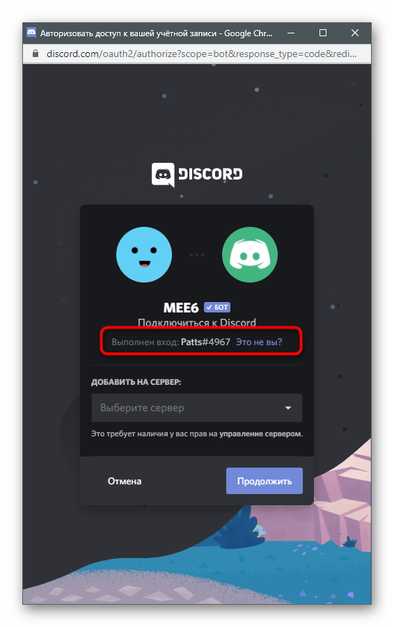 Выбор учетной записи авторизации бота для красивого оформления сервера в Discord