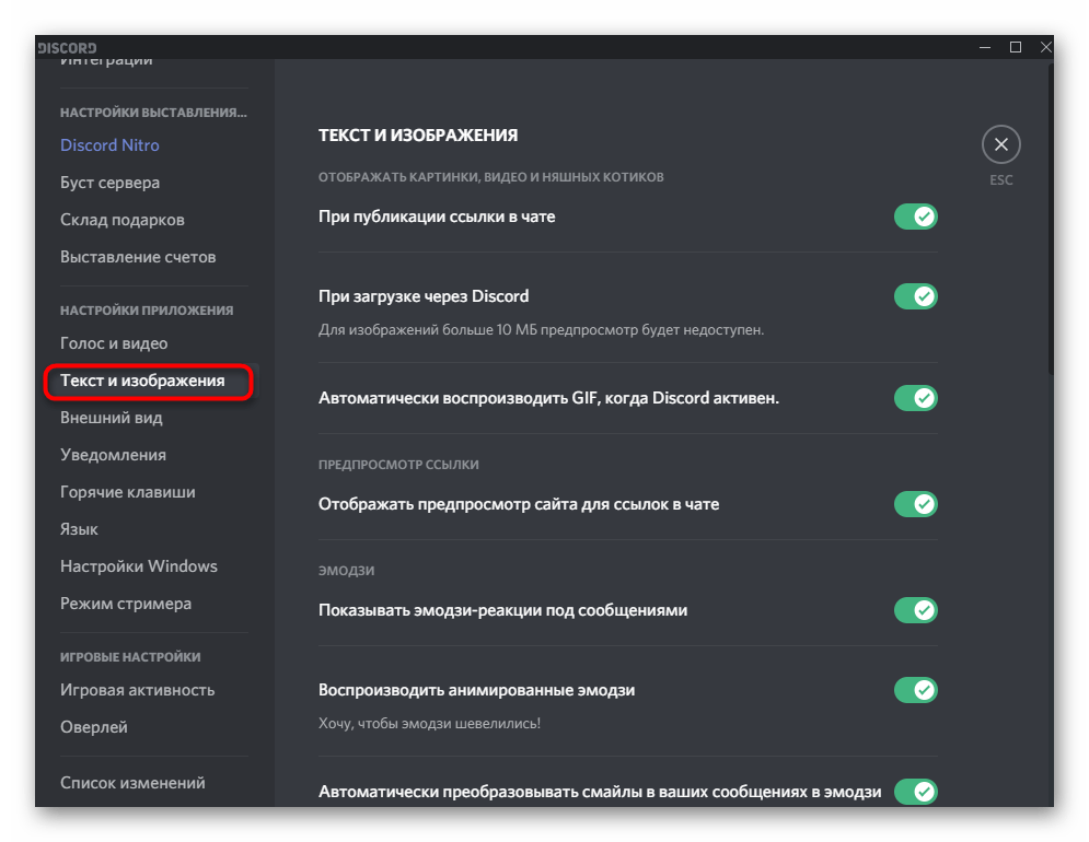 Выбор параметров текста и изображений при пользовательской настройке программы Discord
