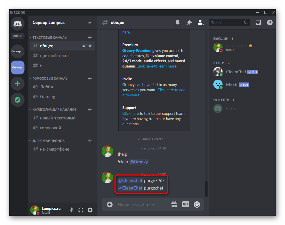 Использование бота CleanChat для очистки чата в Discord