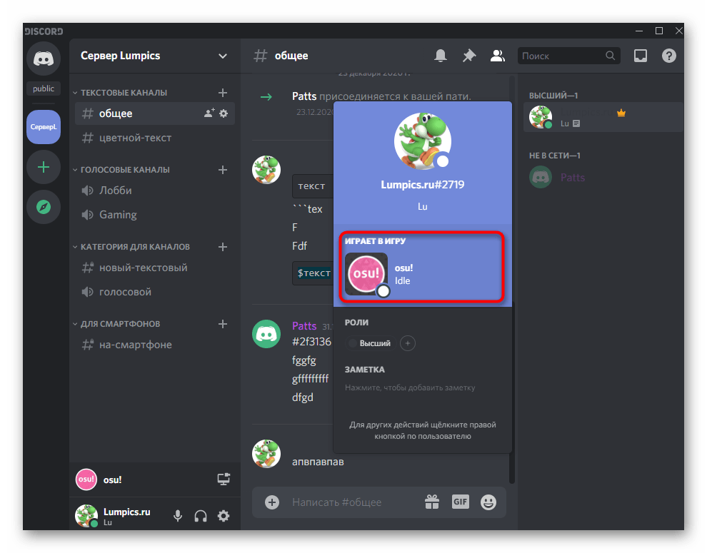 Пример отображения игровой активности во время запущенной игры в Discord на компьютере