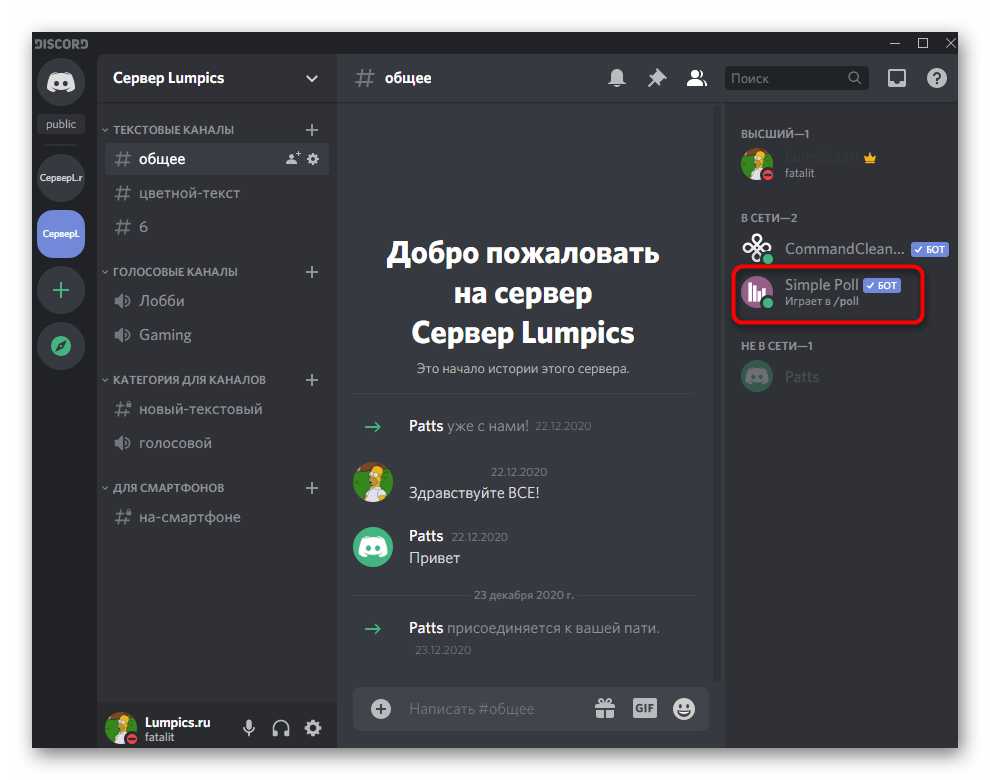 Проверка добавленного бота Simple Poll в Discord на компьютере перед оформлением опроса