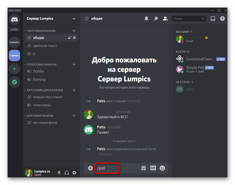 Ввод команды для получения помощи по управлению ботом Simple Poll в Discord на компьютере