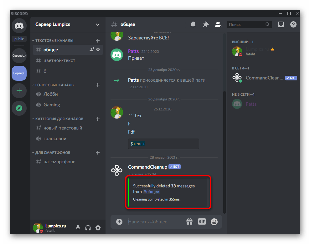 Информация об успешном выполнении команды для удаления полного текстового чата через CommandCleanup в Discord