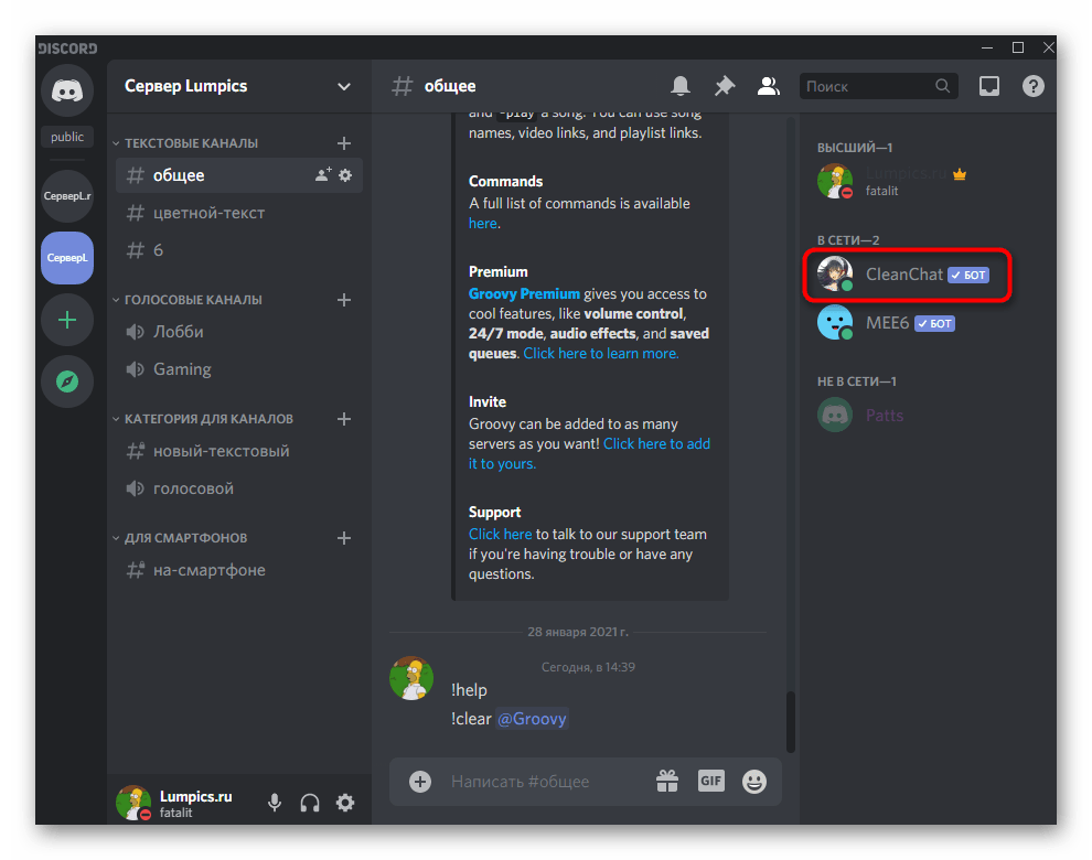 Проверка добавления бота CleanChat в Discord для очистки чата на собственном сервере