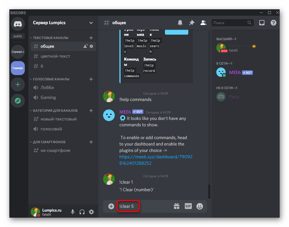 Ввод команды для удаления последних сообщений чате при помощи бота MEE6 в Discord