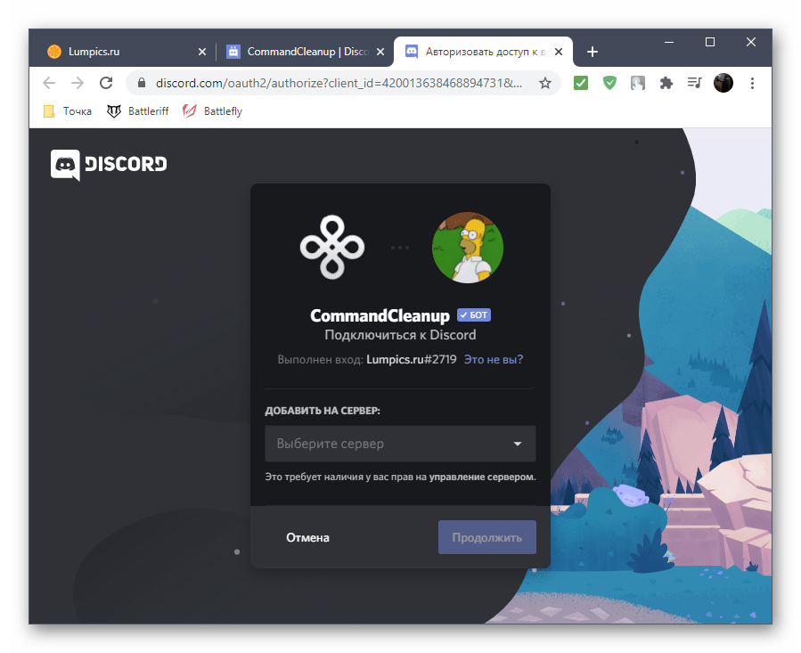 Подтверждение авторизации бота для удаления чата CommandCleanup в Discord через открытую площадку