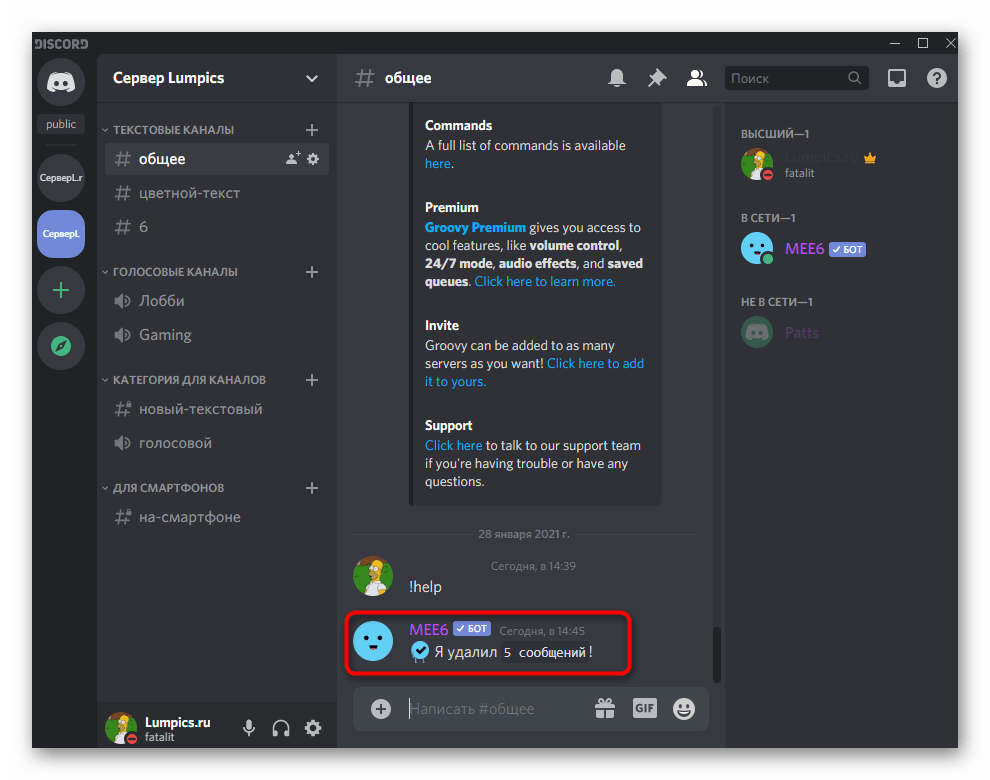 Информация об успешной активации команды для удаления сообщений в чате через бота MEE6 в Discord