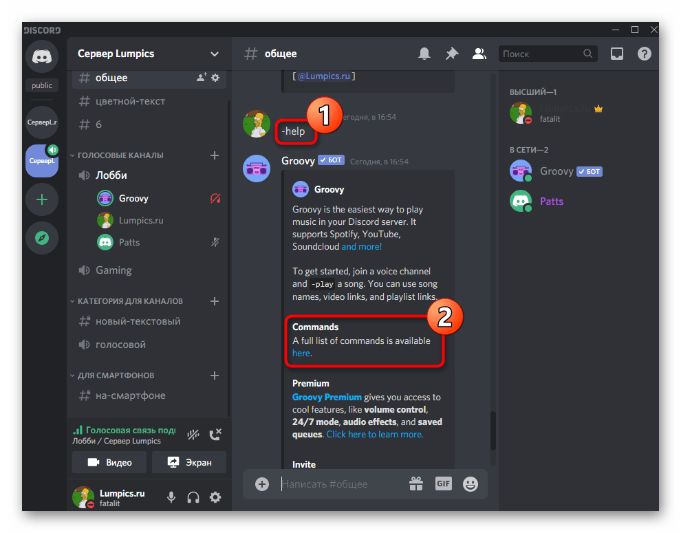 Ввод команды помощи для получения сведений о музыкальном боте Groovy на сервере в Discord на компьютере