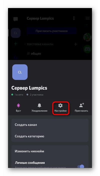 Переход в настройки сервера для создания невидимого ника в мобильном приложении Discord
