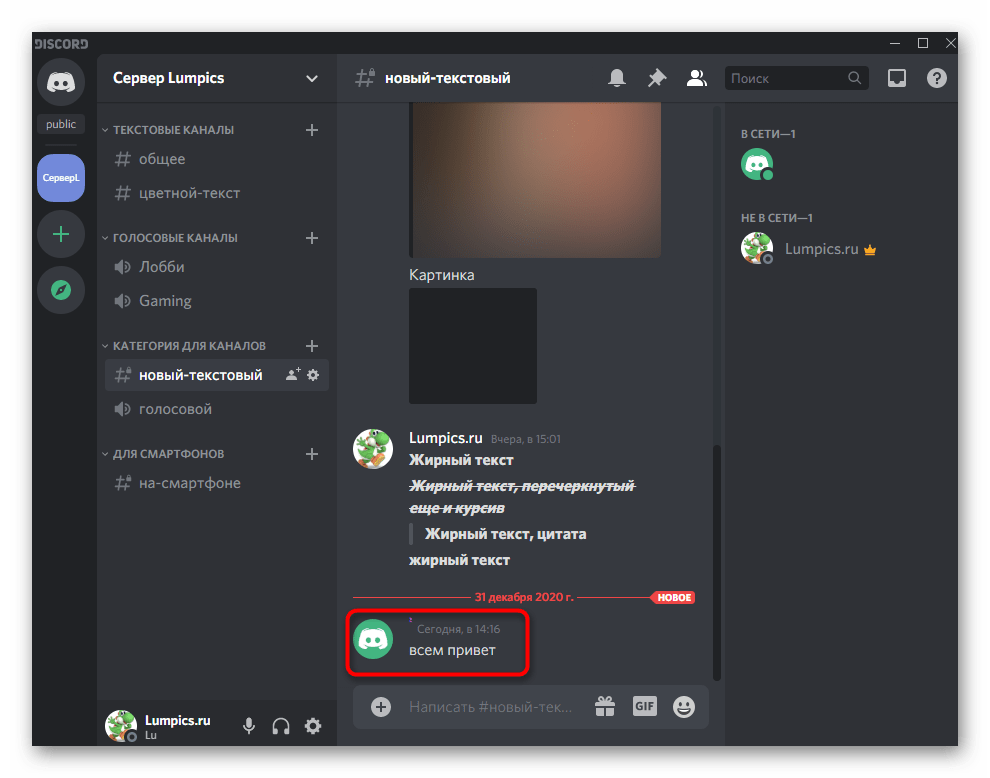 Отправка сообщения в чате сервера при проверке невидимого ника в Discord на компьютере