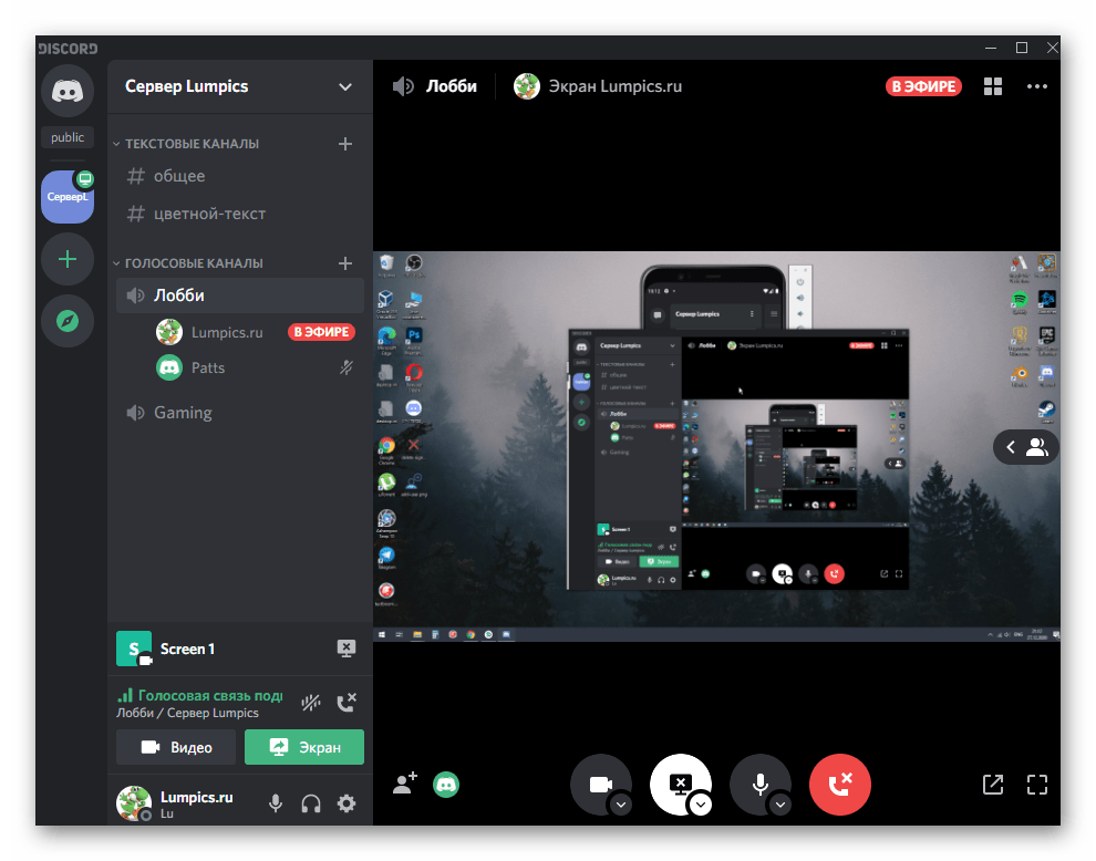 Окно для просмотра собственной демонстрации экрана в голосовом чате в Discord на компьютере