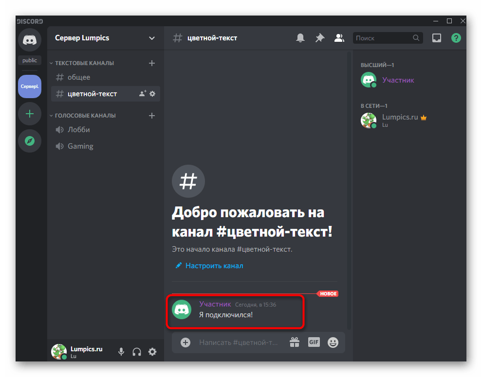 Проверка отображения цветного ника на сервере при его настройке в Discord на компьютере