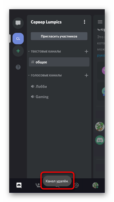 Успешное удаление канала сервера через мобильное приложение Discord