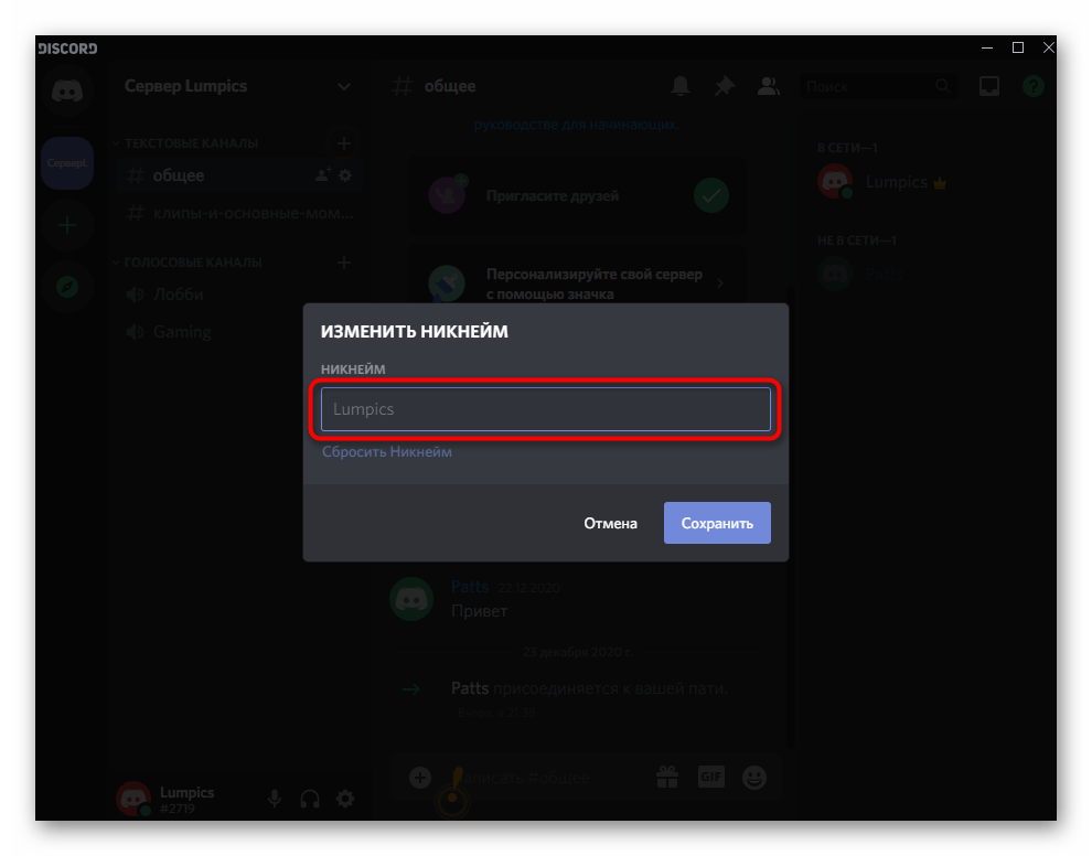 Заполнение формы для смены собственного ника на сервере в программе Discord