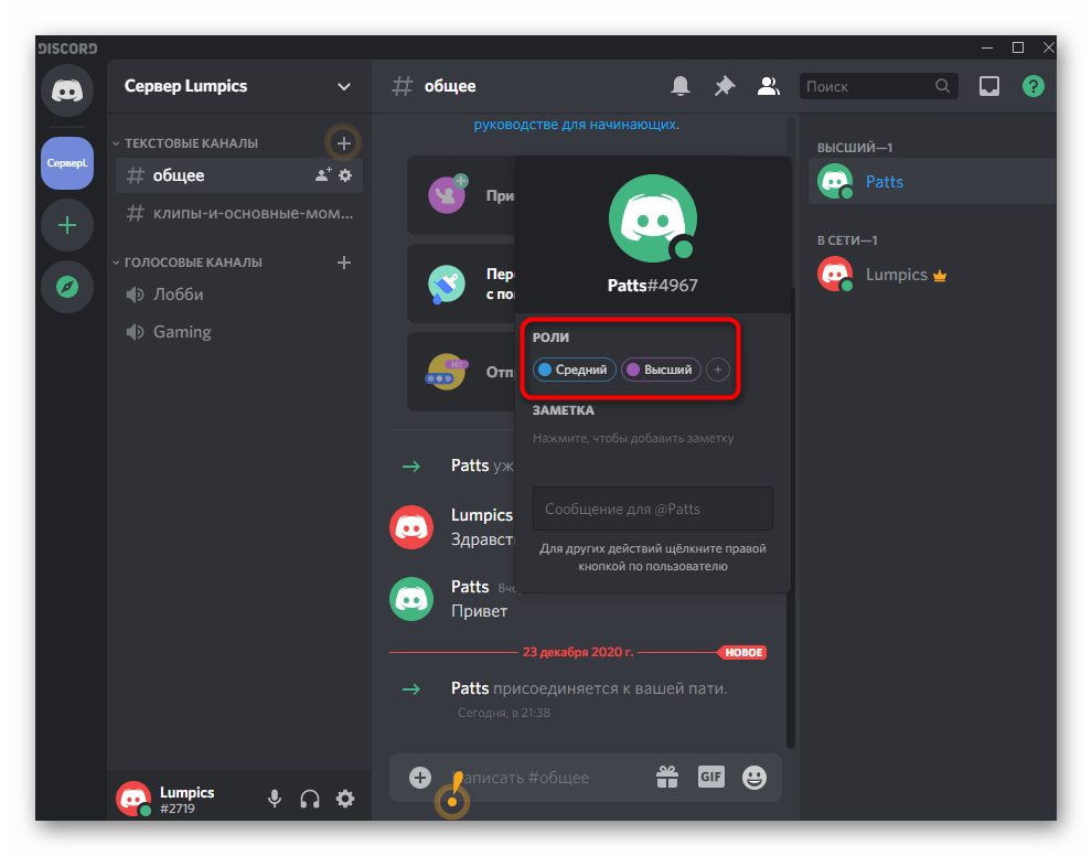 Отображение нескольких ролей для пользователя на сервере в Discord