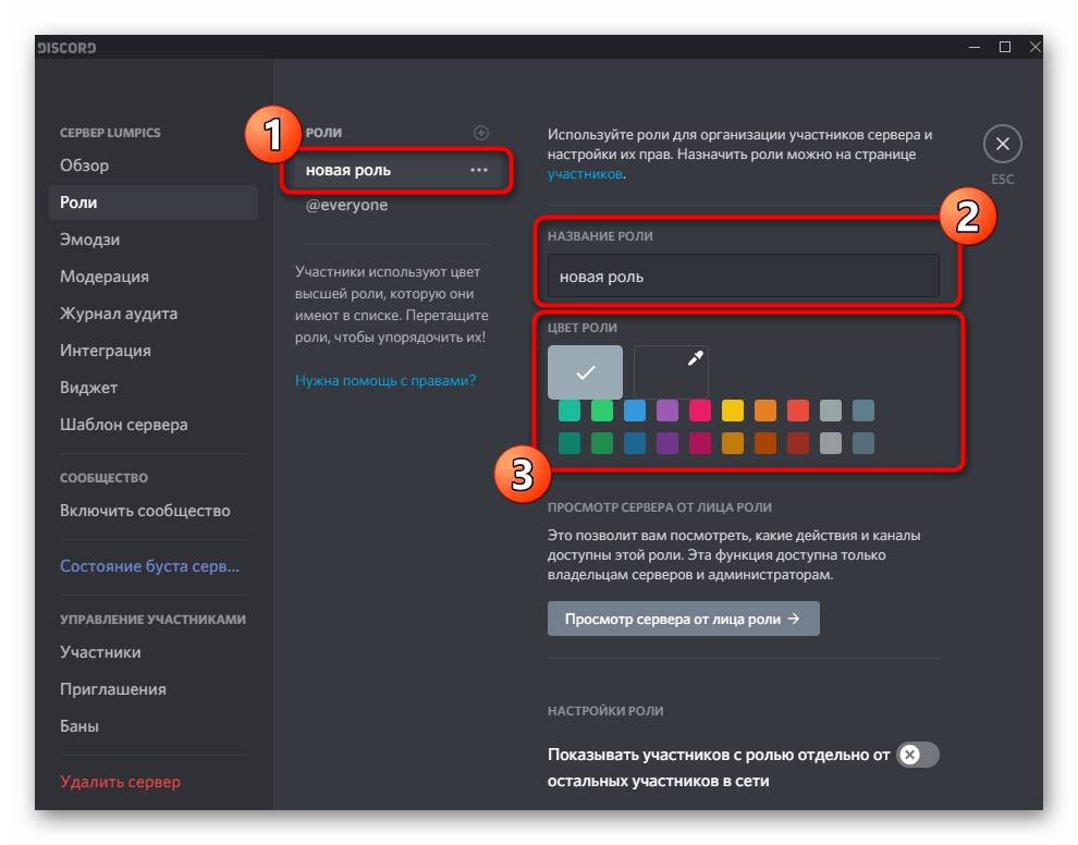 Добавление названия и цвета для новой роли на сервере в Discord на компьютере
