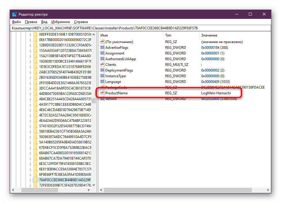 Поиск значения LogMeIn Hamachi в редакторе реестра