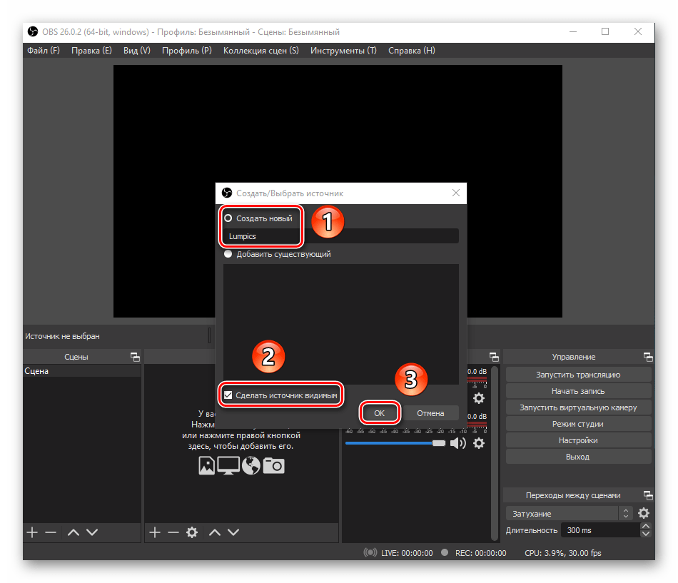 Указание имения нового источника и активация пункта Сделать источник видимым в OBS Studio