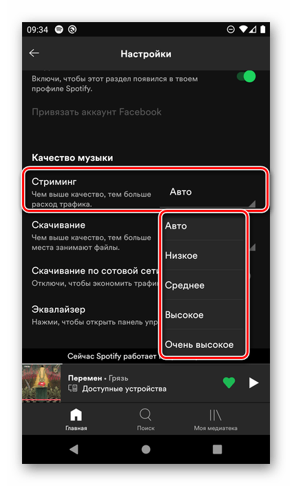 Определение качества стриминга музыки в настройках мобильного приложения Spotify для Android