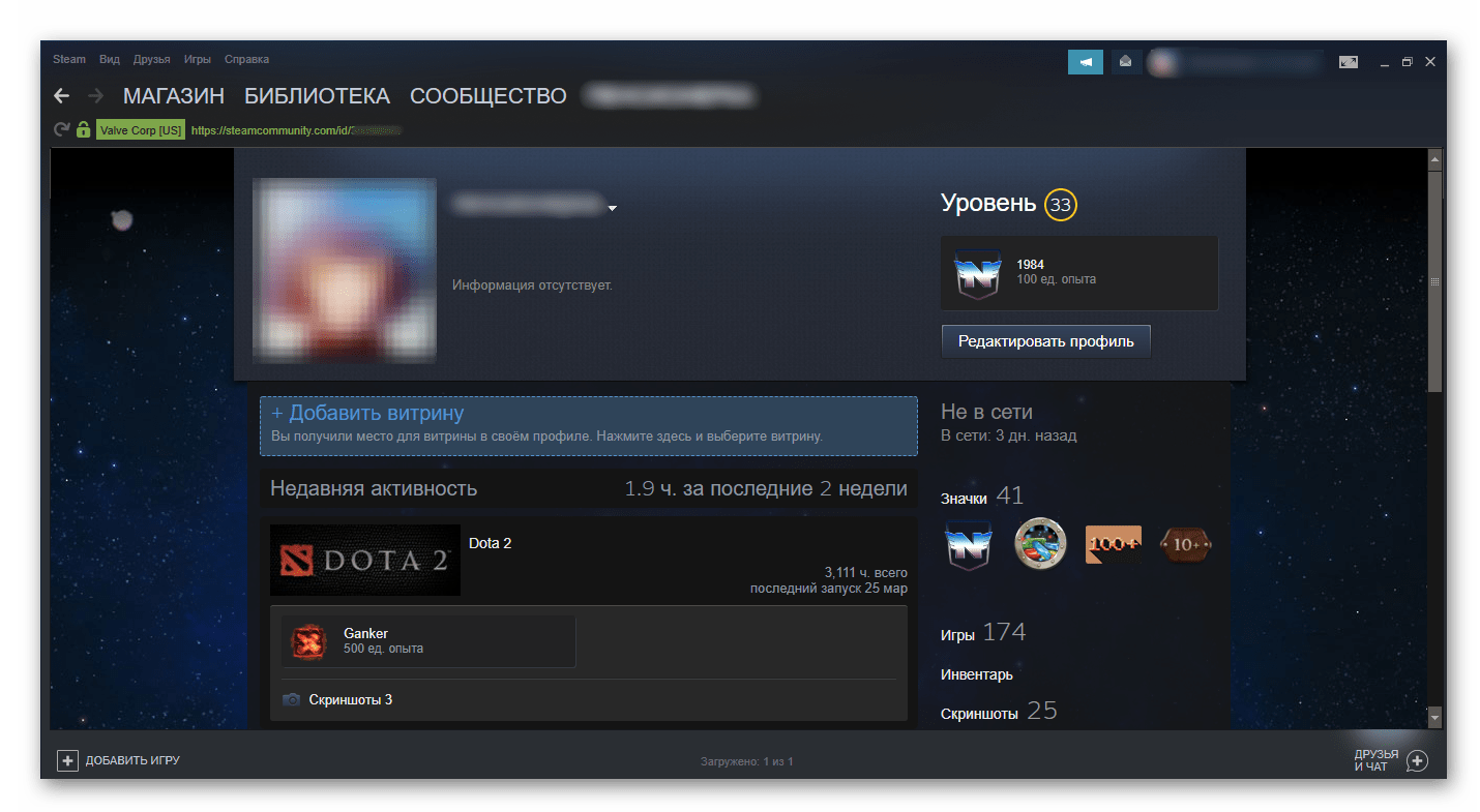 Примененный фон в Steam